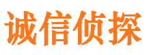 泸溪市侦探调查公司